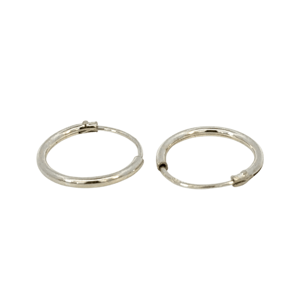 Silver Sleeper Hoops